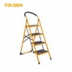 STEEL LADDER