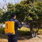 Person using TOLSEN 20V Cordless Backpack Sprayer to treat tree foliage with liquid spray in a garden setting